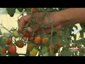 Eye on KELOLAND Medicine Root Garden Project