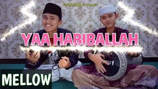 Download YAA HABIBALLAH SALAMUN ALAIK #2 - MELLOW Darbuka Cover || IMAM Ft Saiful Muchzany MP3