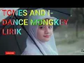 Download Lagu Tones and i-dance monkey cover