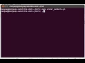 Perl Numeric Scalar Example