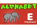 Animal Alphabet ABC Flash Cards Animal Sounds Game for Toddlers Kids Children