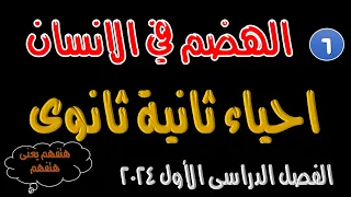 الهضم في الانسان احياء ثانية ثانوى الترم الأول 2024 