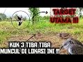 Download Lagu Tak Disangka Ada Tekukur Kuk 3 Dilokasi Ini || Pikat Langsung Dituruni 2 Tekukur P3NGU4S4 Lokasi 