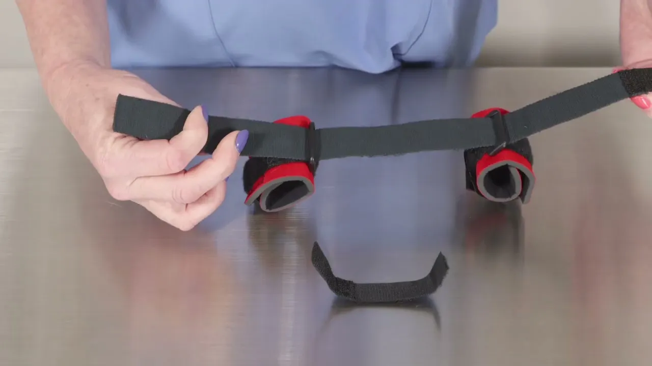 training video of how to measure and fit rear leg hobbles for hip dysplasia in dogs