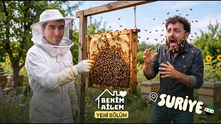 Making Money Through Beekeeping in Syria - My Family Episode 8