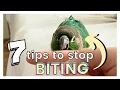 7 TIPS ON HOW TO STOP YOUR BIRD FROM BITING Why Your Bird Bites You and How to Avoid Getting Bit
