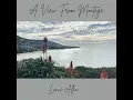 A View From Montage - Lance Allen