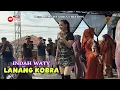 Lagu Indah Waty - Lanang Kobra || YANDIKA MUSIC show Lemahtamba Cirebon