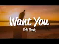 Download Lagu Erik Frank - Want You (Lyrics)
