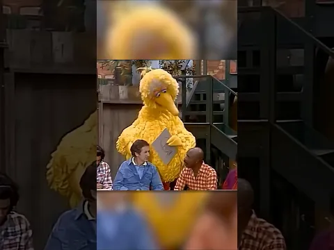 Big Bird Comprehends Death