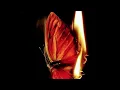 Download Lagu Daughter of Fire - Irina Tweedie - Chapter 3: Doubts