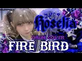 Download Lagu FIRE BIRD/Roselia -Drum Cover- MP3