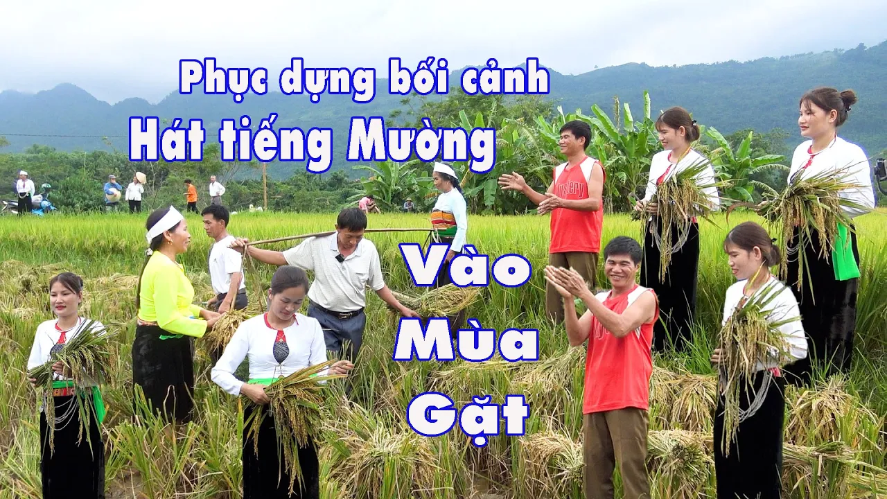 PHỤC DỰNG BỐI CẢNH HÁT TIẾNG MƯỜNG TRONG MÙA GẶT