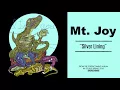 Mt. Joy - "Silver Lining"