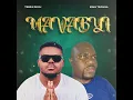 Download Lagu King Tsonga \u0026 Tebza De DJ - Mavabyi (Official Visualizer)