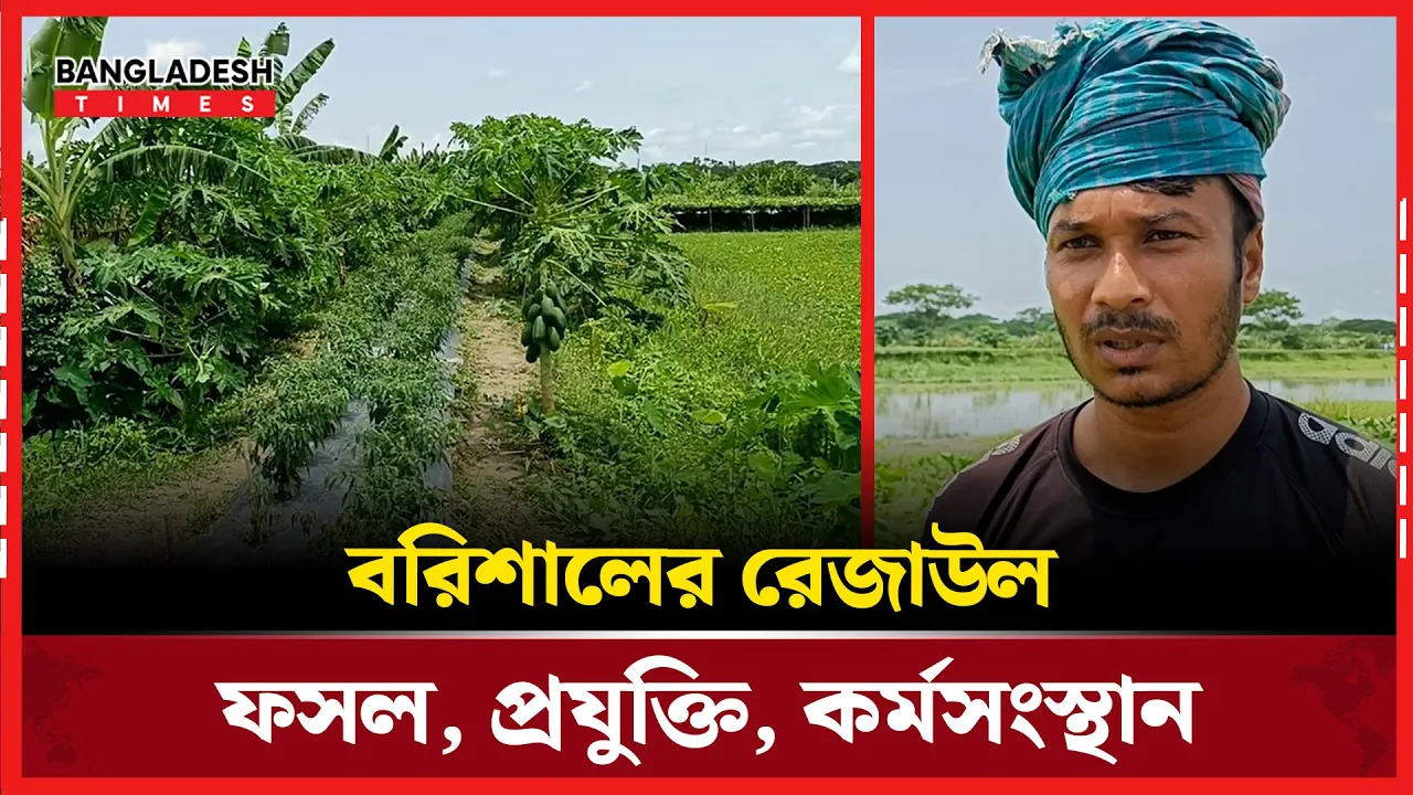 স্মার্ট কৃষিতে ঝড়—বরিশালের রেজাউল স্বাবলম্বী, তৈরি করছেন কর্মসংস্থান|