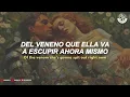 Gigi Perez - Sailor Song [video lyrics + letra]