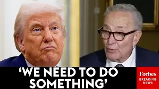 'We See How Low His Perception And IQ Are': Chuck Schumer Rips Into Trump Over Comments On AI