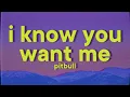 Download Lagu Pitbull - I Know You Want Me