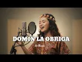Domin La Obriga || Cover Ai Manis