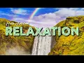 Download Lagu Musik Relaksasi : Musik Piano, Air Mengalir dan kicau Burung | Cepat Tidur dalam 10 menit