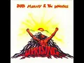 Bob Marley - Zion Train