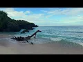 3 HOURS Morning Coding Music: Okinawan Dawn Beach & Zen Ambient Guitar for Deep Work 【4K】