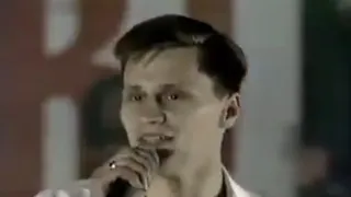 viktorija ir vitra as a ara j reivis 1996