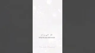 انت  السنه لعشتها بعمري انا     حالات واتس اب    ايدا سيركان  شيرين عبدالوهاب  حالات واتساب دندنها