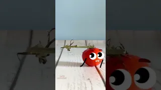 Life Doodles 2 Tomatoes Lifedoodles Shorts Doodle Tomato Bestfriend Shortvideo 