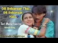 Lagu Dil Bekarar Tha Dil Bekarar Hai || दिल बेकरार था दिल बेकरार है || Teri Meherbaniyan ||