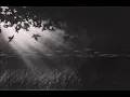 Download Lagu Ludovico Einaudi - Experience (slowed + reverb)