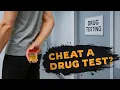Can You Cheat a Drug Test in 2026 A Doctor Breaks Down What Still Works and What Gets You Caught