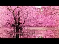 The Book Of Psalms Psalm 1 to 150 King James Version