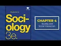 Chapter 04 - Introduction to Sociology 3e