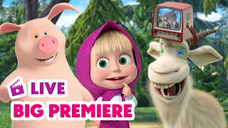 LIVE 🔴 Masha en de Beer 💥 BIG PREMIERE 💥 Druk op de geheime knop! 🔴🤫 Masha and the Bear