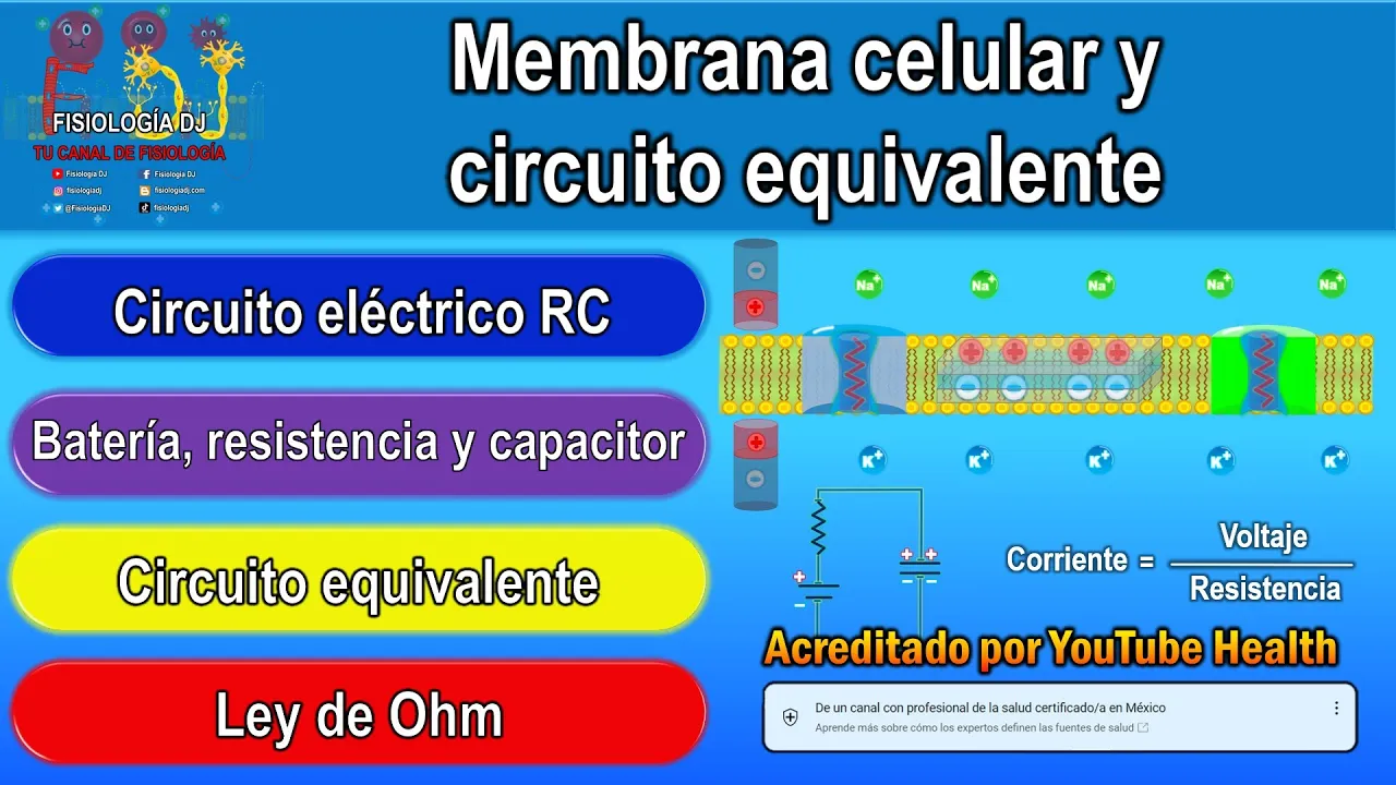 Membrana celular | Membrana plasmática | Circuito equivalente (circuito RC y ley de Ohm)