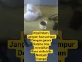 Download Lagu kopi Hitam kupu kupu