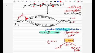30 دقيقه هتفرم بيهم كل فنيات MRNA وبعدها حل أى سؤال المراجعه النهائية د اسلام زكريا 2025 