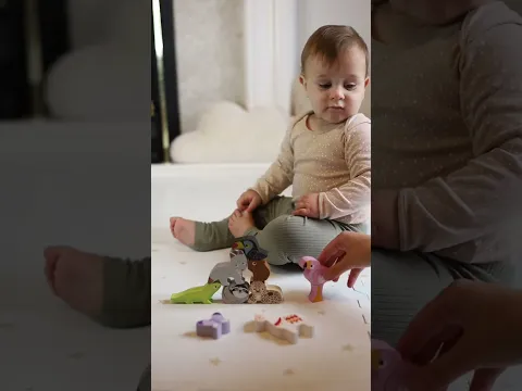 Wooden Stacking Animals & Bag