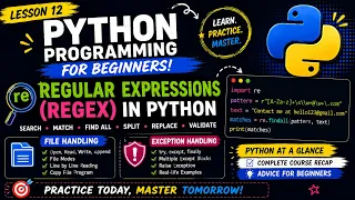 Python Programming for Beginners Lesson 12 Regex in Python File Exception Handling Practice