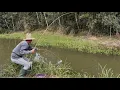 Download Lagu Era um fisgado e outro levando com tudo, pescaria de jundiás e carás!!!