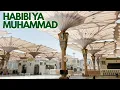 Download Lagu Habibi Ya Muhammad | Beautiful Naat in Praise of Prophet ﷺ