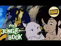 Download Lagu The Jungle Book // Episode 52 // Free Cartoons for Kids // Adventure Toons // Animated Series
