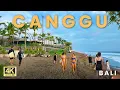 Lagu Canggu Berawa Beach at Sunset 🌅 Calm Bali Walk in 4K