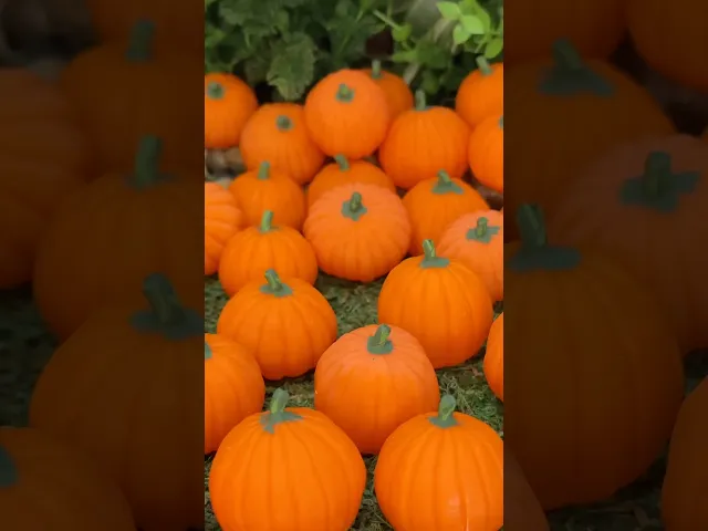 100 Pumpkins – Resin video thumbnail