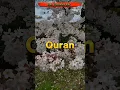 Download Lagu Quran Surah Al-Hijr Chapter 15 Verses #shorts #youtubeshorts  #viral