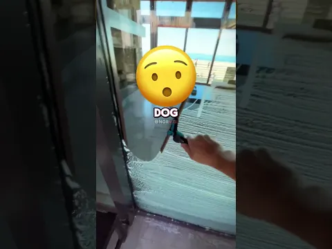 😱😨 DOG ACTS VERY STRANGE AFTE THIS OWNER...