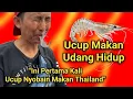 Download Lagu Nyobain Makanan Thailand Bareng Ucup Dan Adel