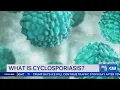 Cyclosporiasis Update What Philadelphia Health s Want You to Know PHL17 Morning News